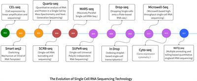 The utilization of single-cell sequencing technology in investigating the immune microenvironment of ccRCC